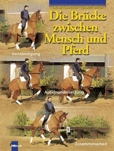 Fnverlag die brücke - fnverlag, zwischen