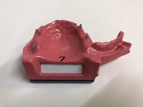 Dental dent schaumodell - , go