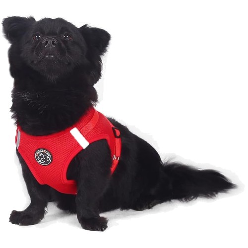 Hundegeschirr set hund - hundegeschirr, hund&katze