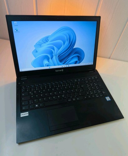 Linux mint windows 11 dual - 11,