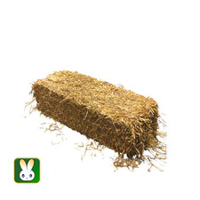 Stroh * Goldstroh  (ca. 12-15kg)
