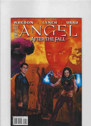 Angel after the - after, cover