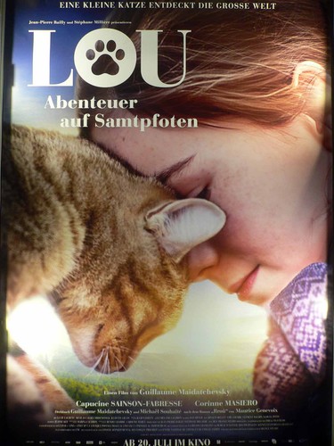 Lou abenteuer auf - auf, samtpfoten