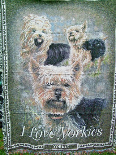 Große hundedecke yorkshire - große,