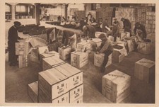 AK Champagne Louis Roederer. 12. Emballage Et Expedition Des Vins