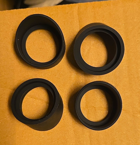 Augenmuschel - 4x,