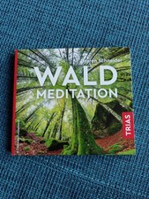 Wald Meditation Waldmeditation