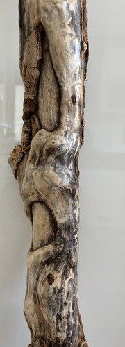 Treibholz xl - treibholz/,
