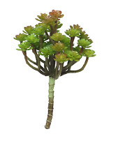 Sukkulenten Stecker grün 19cm