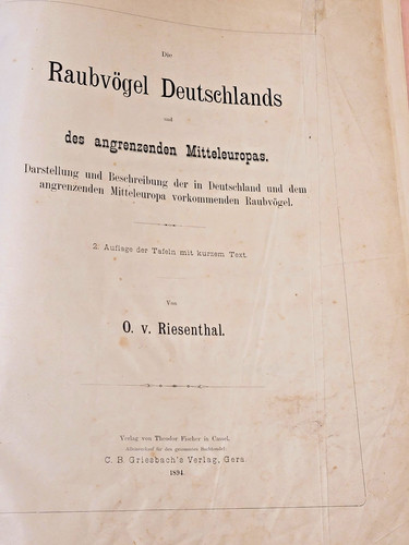 Die raubvögel deutschlands - raubvögel,