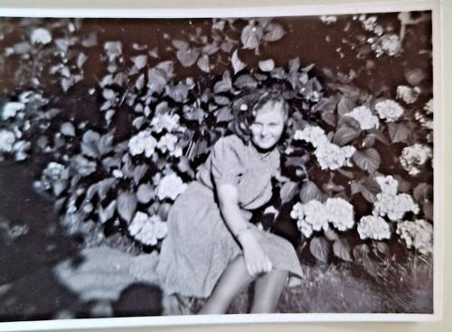 Altes foto vintage - altes,