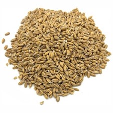 Füllgut Granulat Getreide