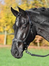 BUSSE Lederhalfter COLOUR-WAVE - schwarz/Kristall     Gr. Mini Shetty