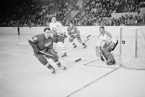 Detroit red wing - detroit,