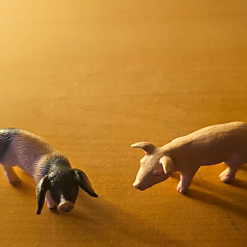 Schleich schwein ferkel - schleich, schwein/ferkel