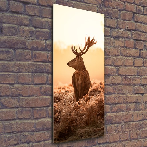 Wand bild kunstdruck aus - wand-bild,