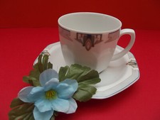 Seltmann Weiden, Octa