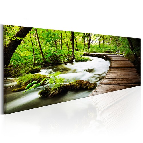 Natur wald landschaft baum - natur,