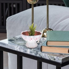 Chinesischer Stil Sukkulent