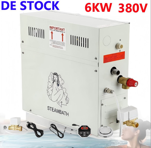 6kw dampfgenerator innerhalb - 6kw,