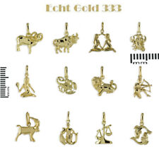 Sternzeichen Anhänger / Kette