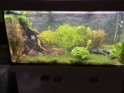 Aquarium juwel rio 350 weiß - 350,