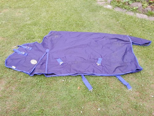 Pferde regendecken blau - pferde,