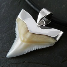 Echt Haizahn 925er Silber