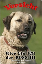 SIVAS KANGAL - A4 Metall