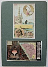 1889 Arbuckle Belgien Brüssel