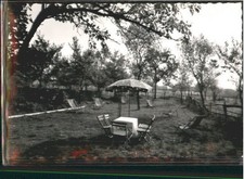 Weidenhahn bei Selters