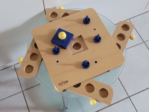 Intelligenzspielzeug für