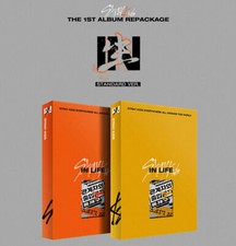 Stray kids in生 - kids, in生/in