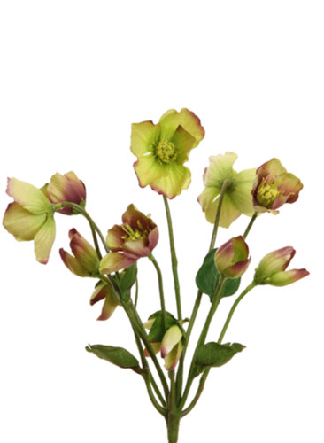 Künstlicher christrosen - künstlicher,
