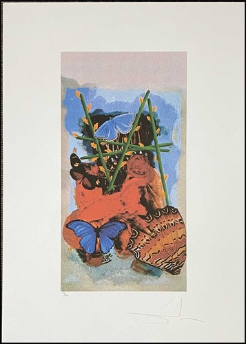 Salvador dali tarot 70 x - *,