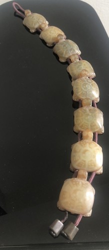 Jade turtle schildkröten - jade,