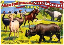 Vintage Zirkustiere Wandkunst