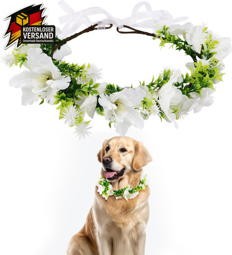 Hunde hochzeits - hunde,