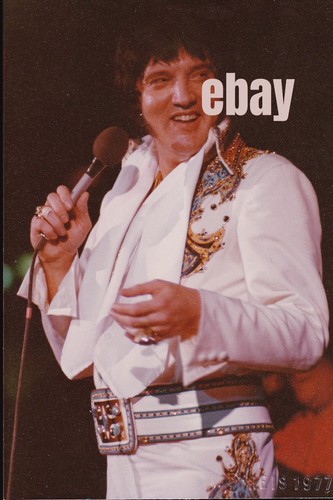Elvis original photo - elvis, 1977