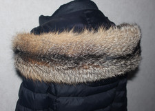 Grisfuchs pelzstreifen - grisfuchs,