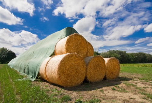 Abdeckvlies strohvlies - ,
