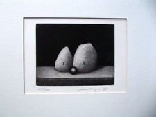 FRIEDRICH MECKSEPER  -