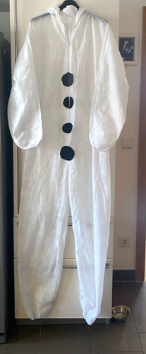 Karneval schneemann clown - karneval,