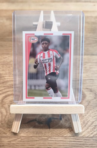 Panini sticker psv eindhoven - panini,