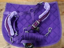 HKM Shetty Schabracke für