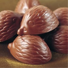 Schokoladenform Pralinenform