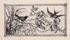 1890 vögel frühling birds - 1890,