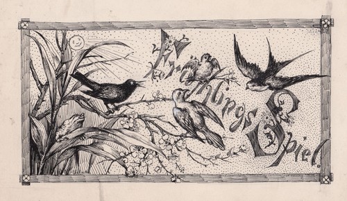 1890 vögel frühling birds - vögel,
