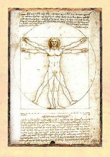 Vitruvianischer Mensch Leonardo da Vinci homo vitruvianus Mann Faksimile 29