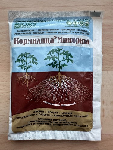 Mykorrhiza pilze granulat - pilze,